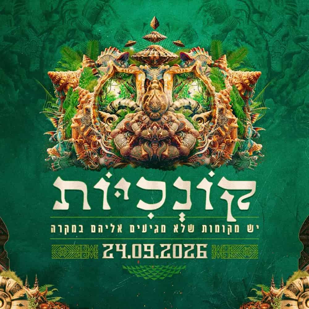 קונכיות וכאלה 🐚