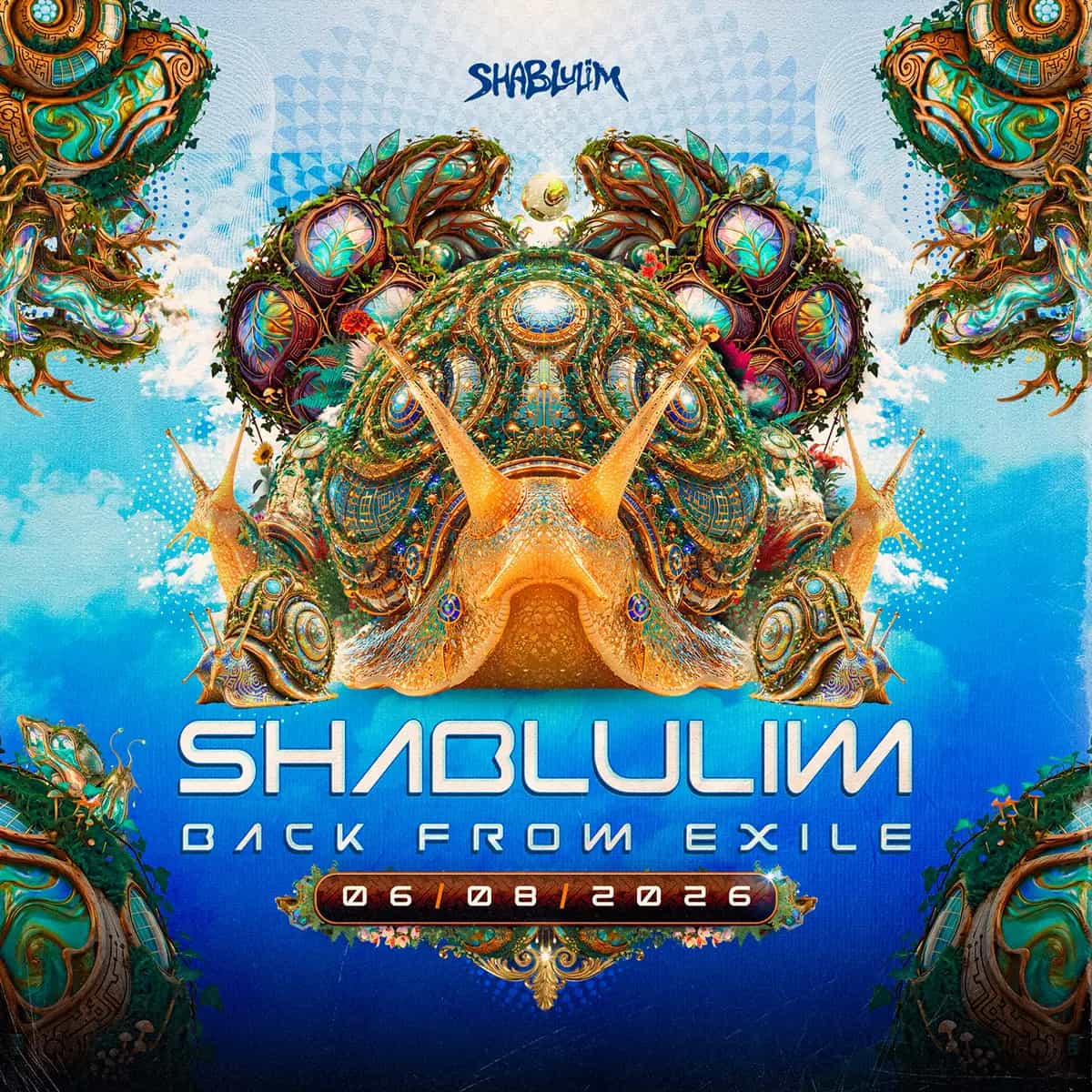 Shablulim is Back 